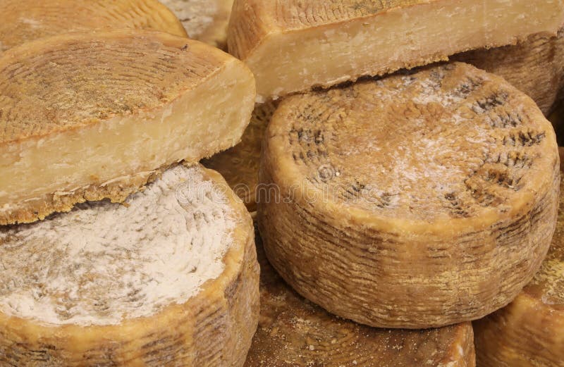 Forms of Hard Cheese for Sale in the Mountain Dairy Farm Stock Image