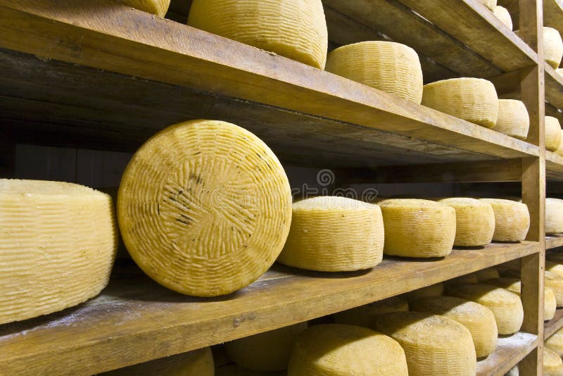 Forms of Pecorino