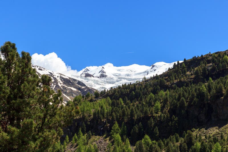 Forni glacier mountain panorama in Ortler Alps, Stelvio National Park