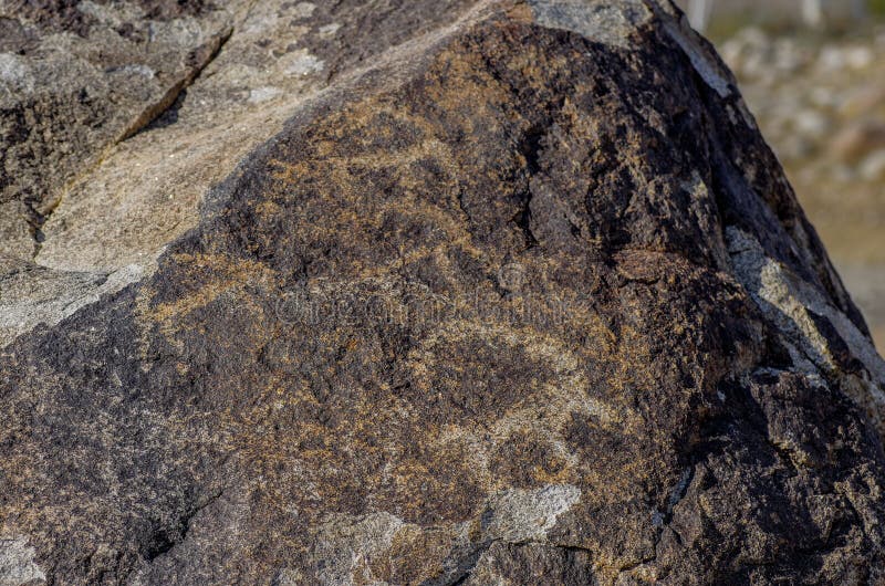 Forntida plats med historiska petroglyphs i Kirgizistan fotografering för bildbyråer Forntida plats med historiska petroglyphs i Kirgizistan fotografering för bildbyråer