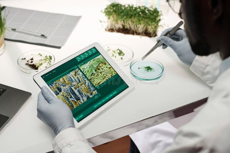 Forscherin, die Pflanzenzellen mithilfe moderner Technologie untersucht stockfoto
