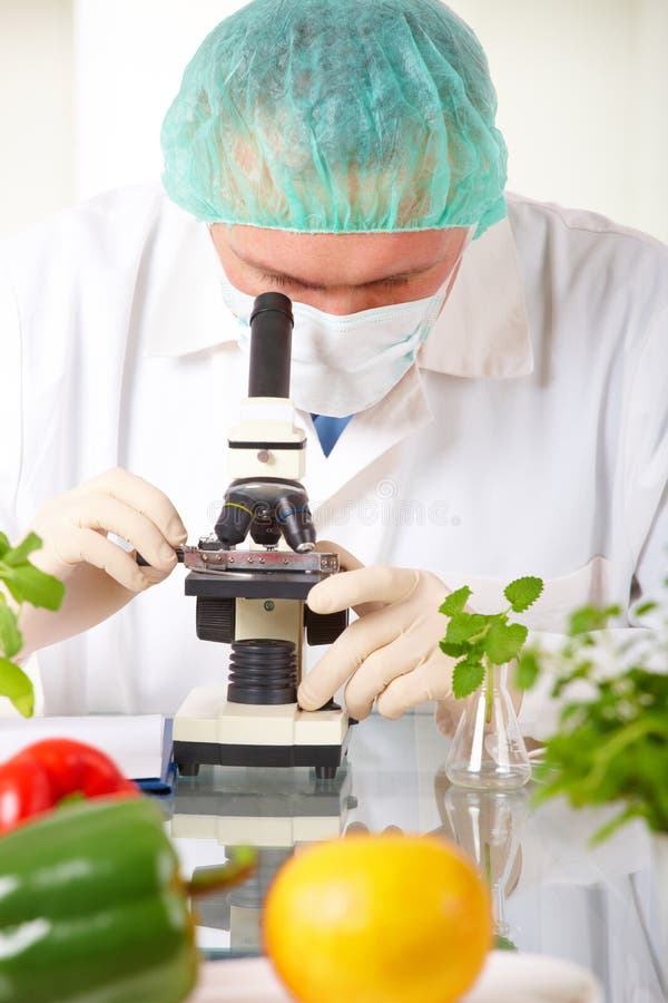 forskare för gmo-holdinglaboratorium upp grönsaken royaltyfri foto forskare för gmo-holdinglaboratorium upp grönsaken royaltyfri foto