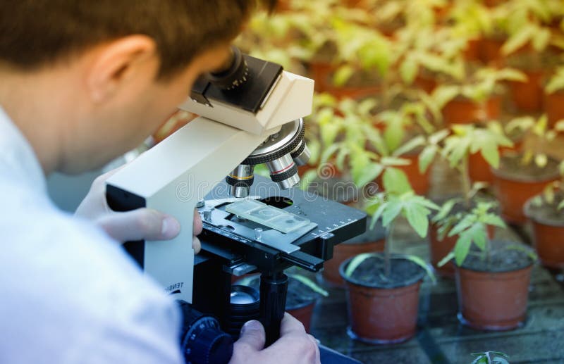 Close up of microscope in greenhouse. Biologist testing sprout`s growth. Plant protection concept. Close up of microscope in greenhouse. Biologist testing sprout`s growth. Plant protection concept