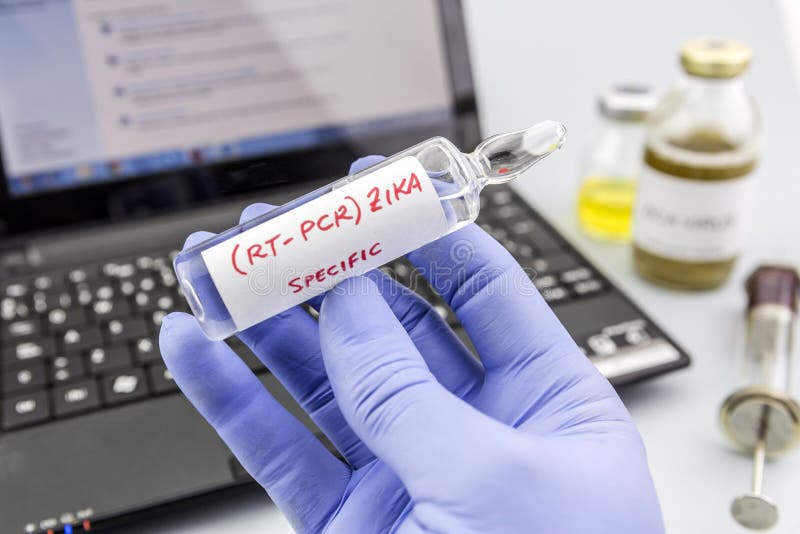 Forskaren med blåa latexhandskar rymmer små medicinflaskor av ZIKA-viruset royaltyfria bilder Forskaren med blåa latexhandskar rymmer små medicinflaskor av ZIKA-viruset royaltyfria bilder
