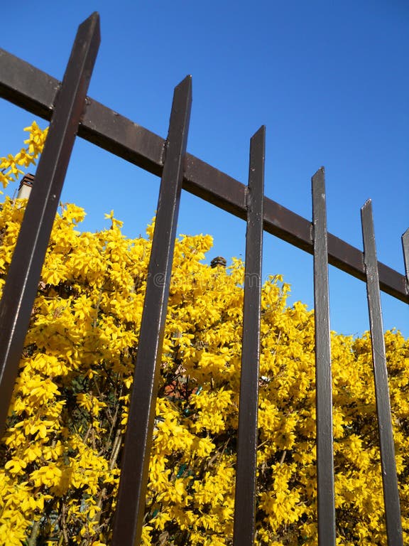 6,767 Blue Sky Behind House Stock Photos - Free & Royalty-Free Stock