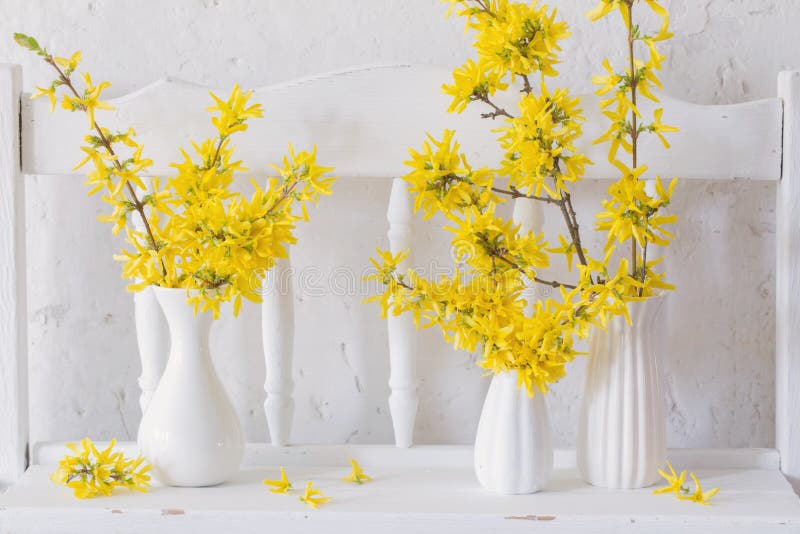351 Forsythia Vase Photos - Free & Royalty-Free Stock Photos from