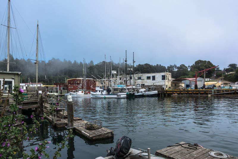 Old Cars of the Skunk Train Stock Image Image of derelict, spring