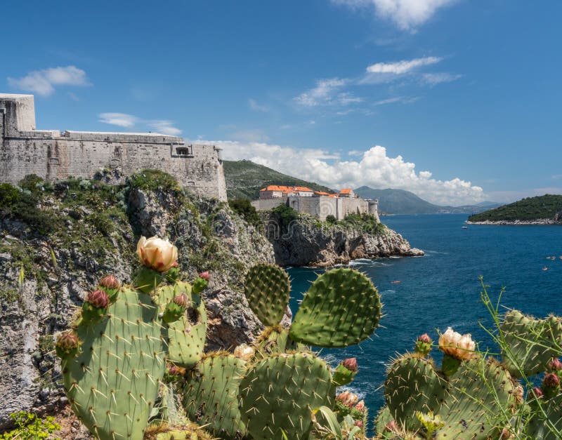 Fort Lawrance i miasto ściany stary miasteczko Dubrovnik w Chorwacja zdjęcia stock Fort Lawrance i miasto ściany stary miasteczko Dubrovnik w Chorwacja zdjęcia stock