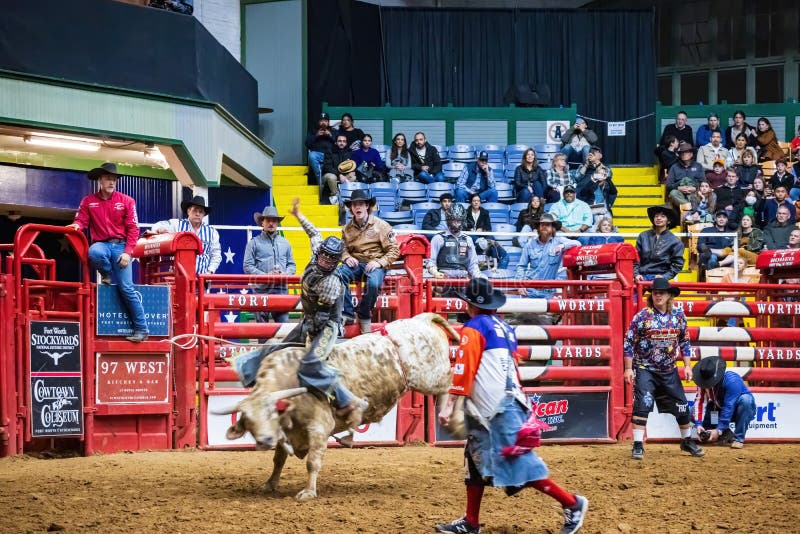 Bull Riding Competition in the Stockyards Championship Rodeo Editorial