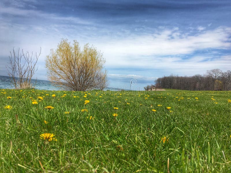 Open field on Lake Erie New. Open field on Lake Erie New