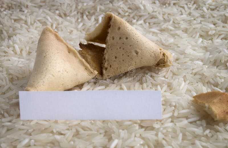 Fortune Cookie Sayings stock illustration. Illustration of chinese