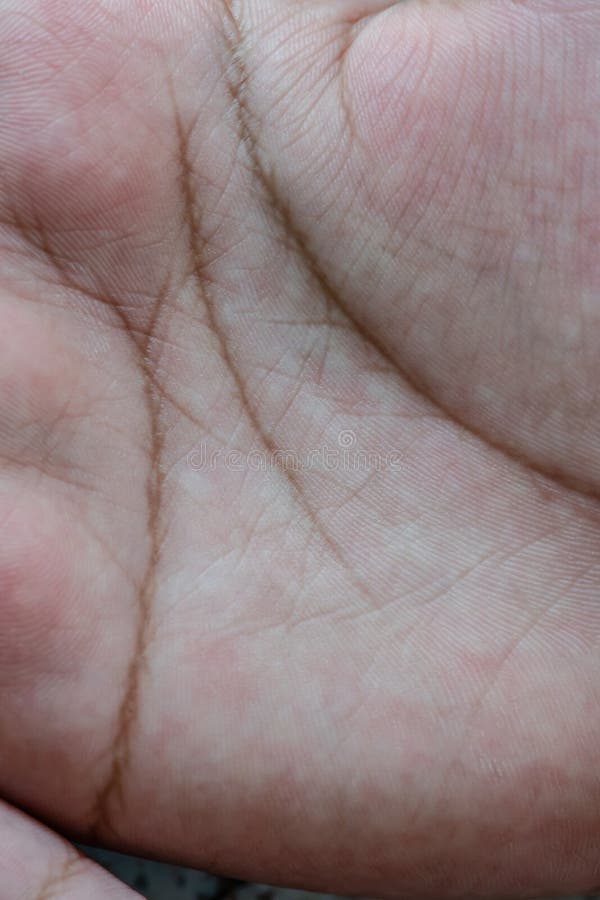 Fortune Teller Lines, the Lines on the Girl`s Hand. Stock Photo Image