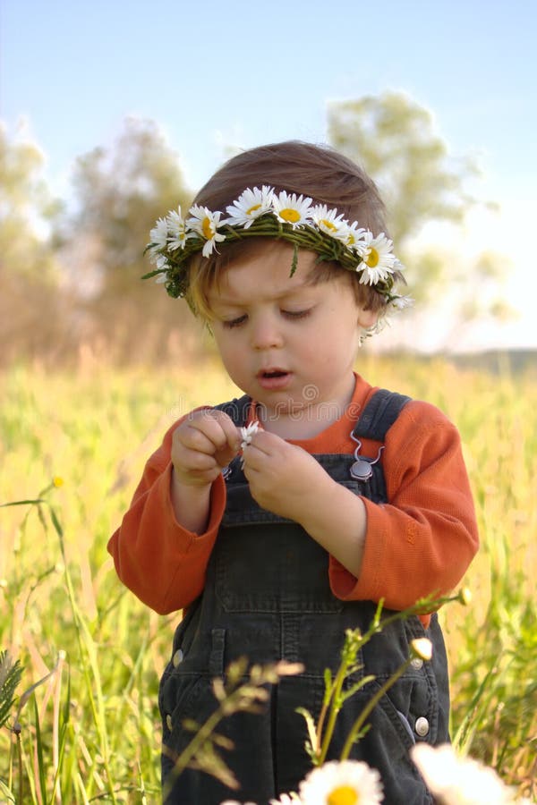 Fortune telling with daisy stock image. Image of contemplation 5404317