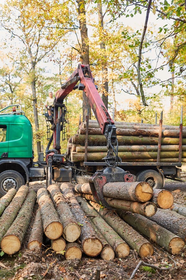 9,074 Timber Harvesting Stock Photos Free & RoyaltyFree Stock Photos