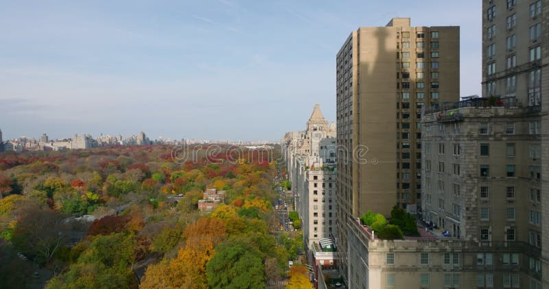 Forwards ascending fly along buildings surrounding park. Beautiful autumn colour trees in Central park. Manhattan, New