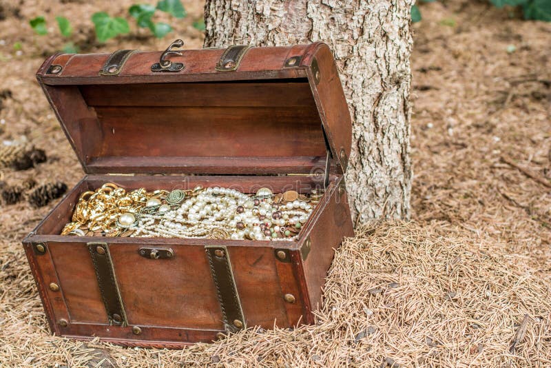 A treasure chest filled to the brim stands under a tree. A treasure chest filled to the brim stands under a tree