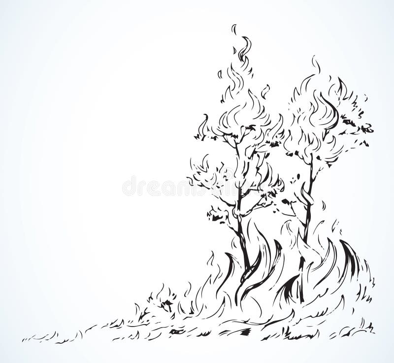 Forêt Brûlée. Dessin Vectoriel Illustration de Vecteur - Illustration