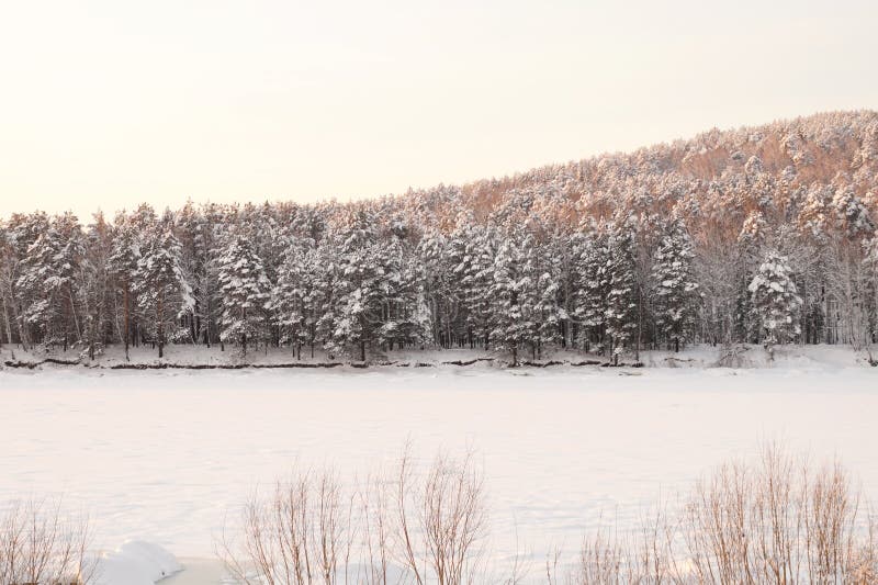 Forêt couverte de neige très belle au coucher du soleil Jour d'hiver givré image libre de droits Forêt couverte de neige très belle au coucher du soleil Jour d'hiver givré image libre de droits