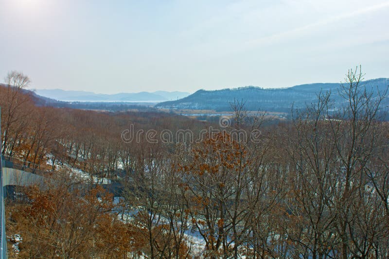 Forêt d'hiver avec de hauts ponts pour le passage des personnes, parc avec des animaux et ponts pour des personnes photos stock Forêt d'hiver avec de hauts ponts pour le passage des personnes, parc avec des animaux et ponts pour des personnes photos stock