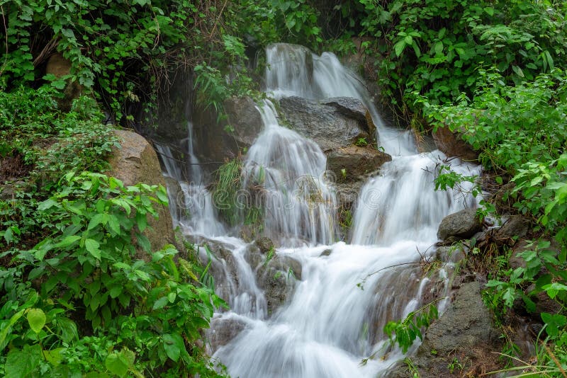 Forêt de cascade de courant de rivière de montagne jungle de forêt tropicale d'arbre d'usine/nature fraîches de paysage avec la r photographie stock libre de droits Forêt de cascade de courant de rivière de montagne jungle de forêt tropicale d'arbre d'usine/nature fraîches de paysage avec la r photographie stock libre de droits