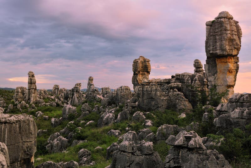 Shilin, Yunnan, China is located in the hinterland east plateau, is the essence of the world karst. Shilin Karst landscape in the main to hung, extraordinary and dangerous, Sau, quiet, Austria, open with the world's most unique karst (karst) landscape, to form a long history, the type of complete, large-scale, development of integrity, known as the best in the world wonders, modeling natural landform Museum, to the academic reputation in the world was formed 2.7 billion years ago, the development by the long and complex geological evolution and palaeogeography of the changes taking place before the formation of the present-day geological remains extremely valuable. Shilin, Yunnan, China is located in the hinterland east plateau, is the essence of the world karst. Shilin Karst landscape in the main to hung, extraordinary and dangerous, Sau, quiet, Austria, open with the world's most unique karst (karst) landscape, to form a long history, the type of complete, large-scale, development of integrity, known as the best in the world wonders, modeling natural landform Museum, to the academic reputation in the world was formed 2.7 billion years ago, the development by the long and complex geological evolution and palaeogeography of the changes taking place before the formation of the present-day geological remains extremely valuable.