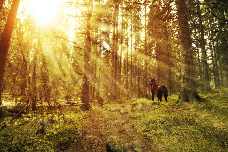 Forêt enchantée avec un cheval et des oiseaux illustration libre de droits Forêt enchantée avec un cheval et des oiseaux illustration libre de droits