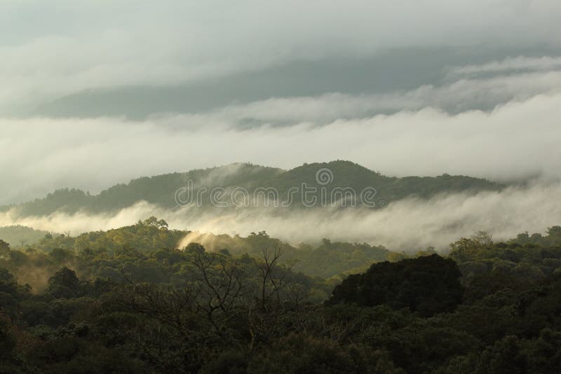 Forêt et montagne de jungle avec la brume photo stock Forêt et montagne de jungle avec la brume photo stock