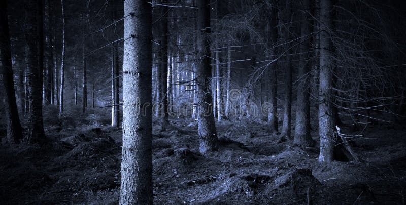 Forêt fantasmagorique