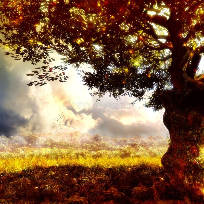 Forêt magique illustration de vecteur