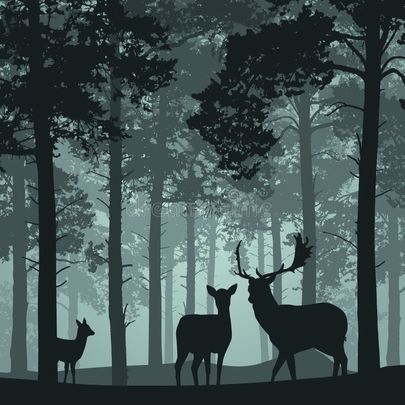 Forêt profonde avec les cerfs communs, la daine et le faon illustration stock