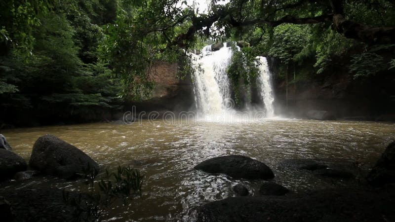 Forêt tropicale de Haew Su Wat Waterfall, parc national de Khao Yai