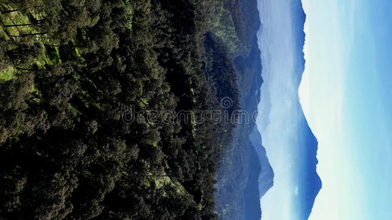 Forêt tropicale de montagne avec le volcan en arrière-plan clips vidéos