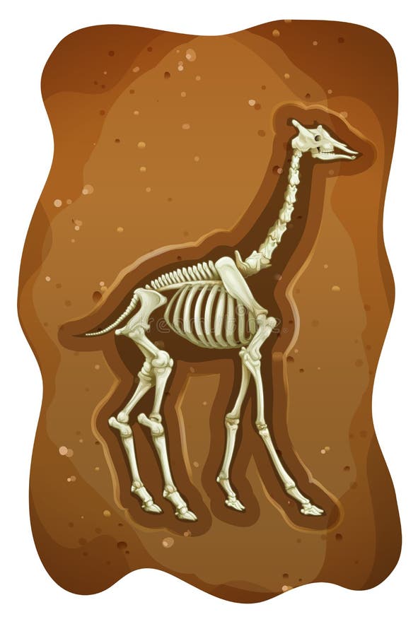 Dinosaur Fossil stock vector. Illustration of buried - 67675970