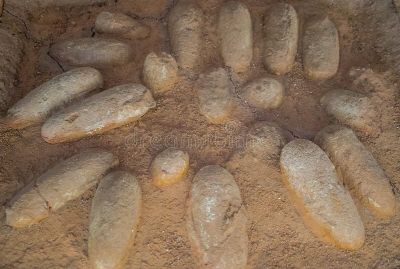 Protoceratops Eggs Stock Photos - Free & Royalty-Free Stock ...
