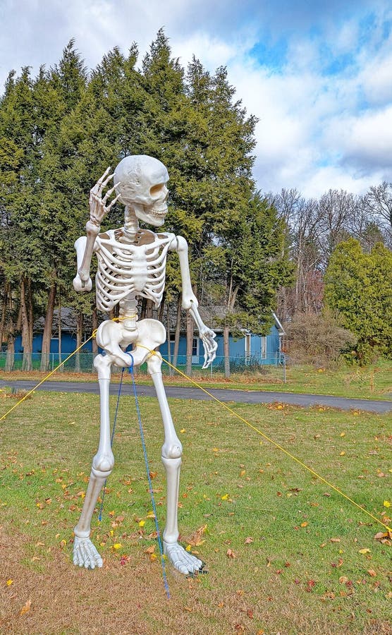 10 fot lång halloween-dekoration av vitt skelett på framsidan av bostaden som lastats i fall royaltyfri bild