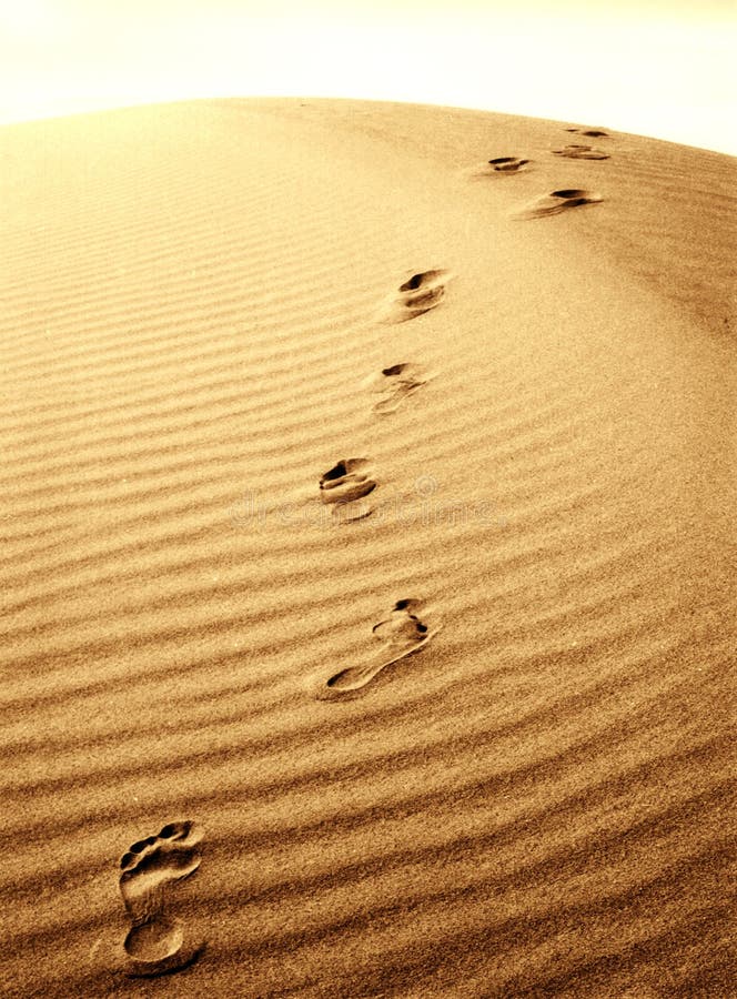 Foot prints going over a sand dune. Foot prints going over a sand dune.