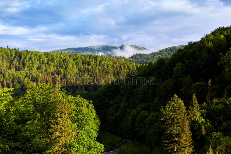 Foto al aire libre del paisaje maravilloso del bosque, porciones de los árboles verdes, cielo azul con las nubes, día de verano h fotografía de archivo Foto al aire libre del paisaje maravilloso del bosque, porciones de los árboles verdes, cielo azul con las nubes, día de verano h fotografía de archivo