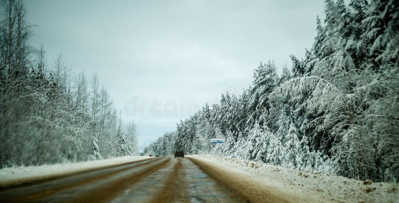 Foto av vintervägen med träd i snö royaltyfri fotografi Foto av vintervägen med träd i snö royaltyfri fotografi