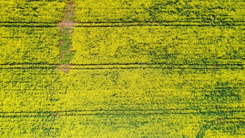 Foto aérea de las flores de la rabina, Francia fotos de archivo Foto aérea de las flores de la rabina, Francia fotos de archivo