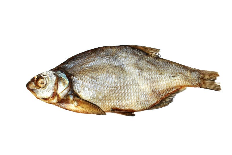 Foto of bream lying on white background