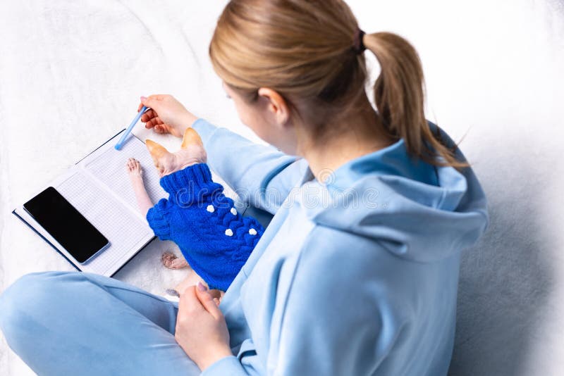 Photo from above of a blonde girl stroking a home ginger cat during online lessons. Smartphone screen and notebook. Online training during quarantine. High quality photo. Photo from above of a blonde girl stroking a home ginger cat during online lessons. Smartphone screen and notebook. Online training during quarantine. High quality photo