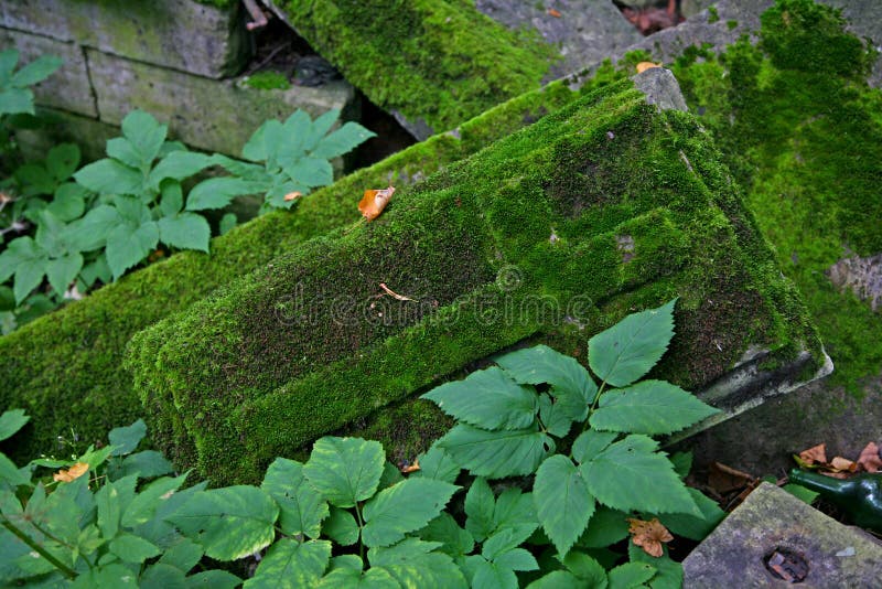 Foto de uma laje de pedra com uma cruz cinzelada tridimensional convexa coberta com o musgo verde fotografia de stock Foto de uma laje de pedra com uma cruz cinzelada tridimensional convexa coberta com o musgo verde fotografia de stock