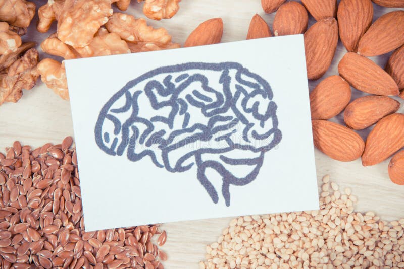 Foto de Ã©poca, dibujo del cerebro y los mejores alimentos nutritivos para la salud y la buena memoria, concepto de alimentaciÃ³n