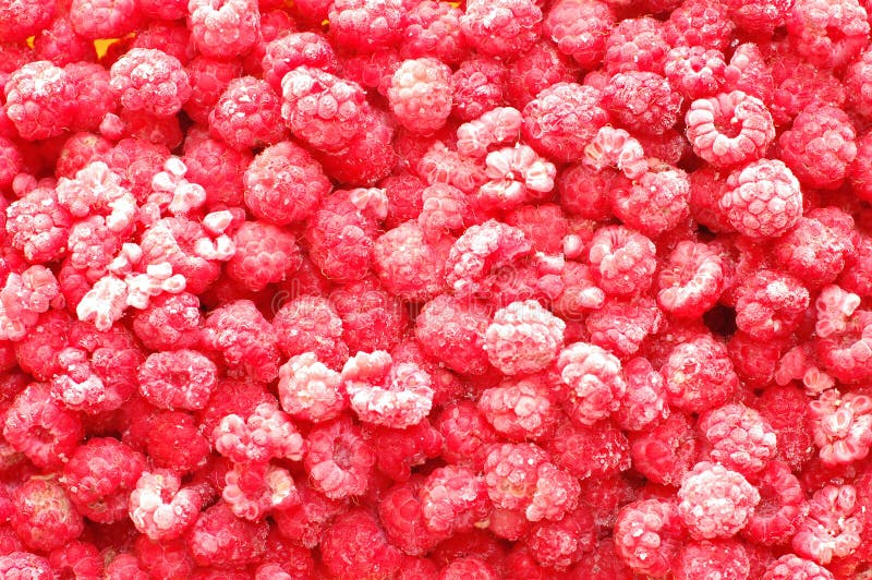 Foto do close up de framboesas gelados, congeladas foto de stock royalty free