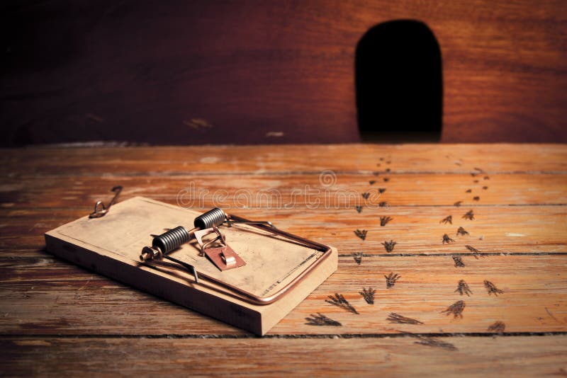 Fotografia de uma ratoeira armada no exterior da toca do rato foto de stock