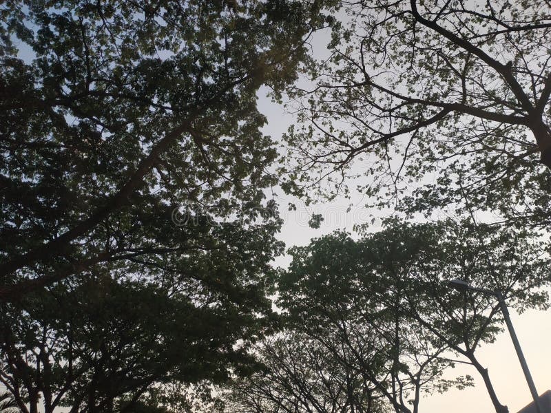  Foto Empty Straßenasphalt surabaya indonesia stockbilder