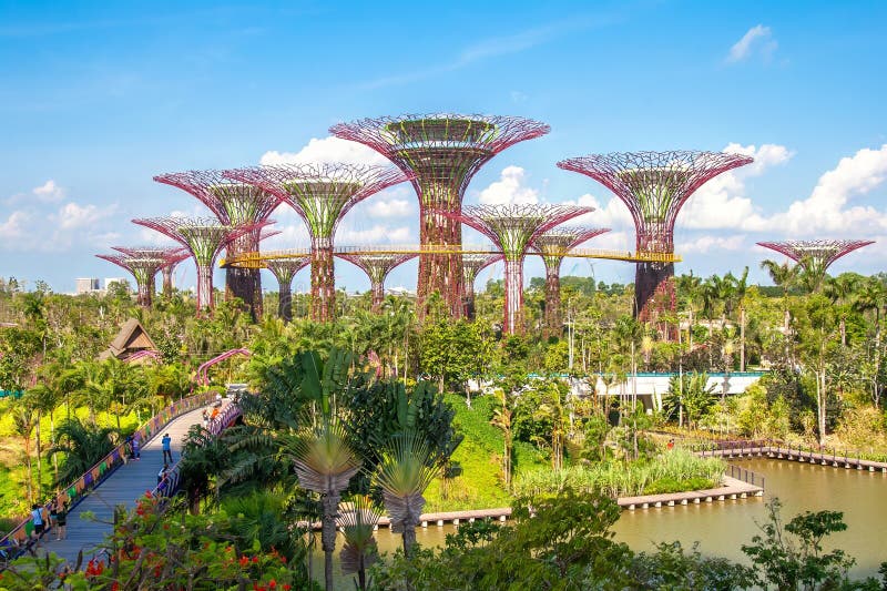 Picture over the Gardens by the Bay in Singapore in the year 2012 during daytime. Picture over the Gardens by the Bay in Singapore in the year 2012 during daytime