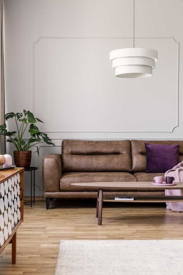 Real photo of modern lamp hanging above leather couch with purple pillow in bright living room interior with coffee table, molding on wall and fresh plant concept. Real photo of modern lamp hanging above leather couch with purple pillow in bright living room interior with coffee table, molding on wall and fresh plant concept