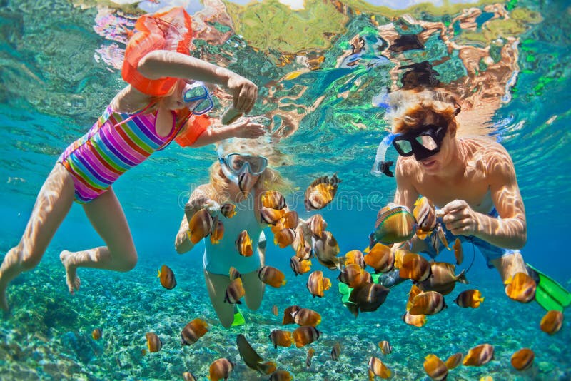 Foto subacuática Familia feliz que bucea en el mar tropical