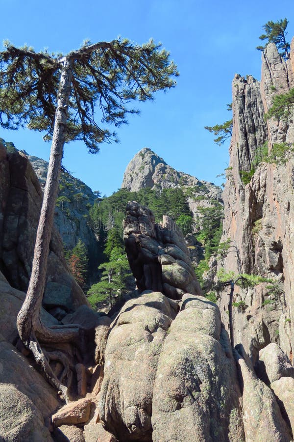 Foto sulle montagne della Bavella, Corsica, Francia fotografie stock libere da diritti Foto sulle montagne della Bavella, Corsica, Francia fotografie stock libere da diritti